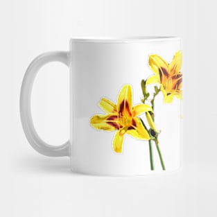 Colourful Daylilies Mug